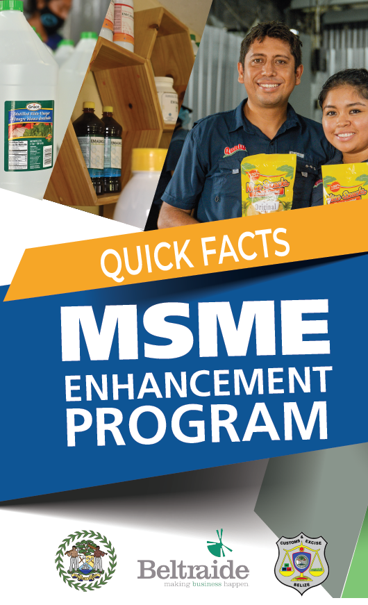 MEP Flyer