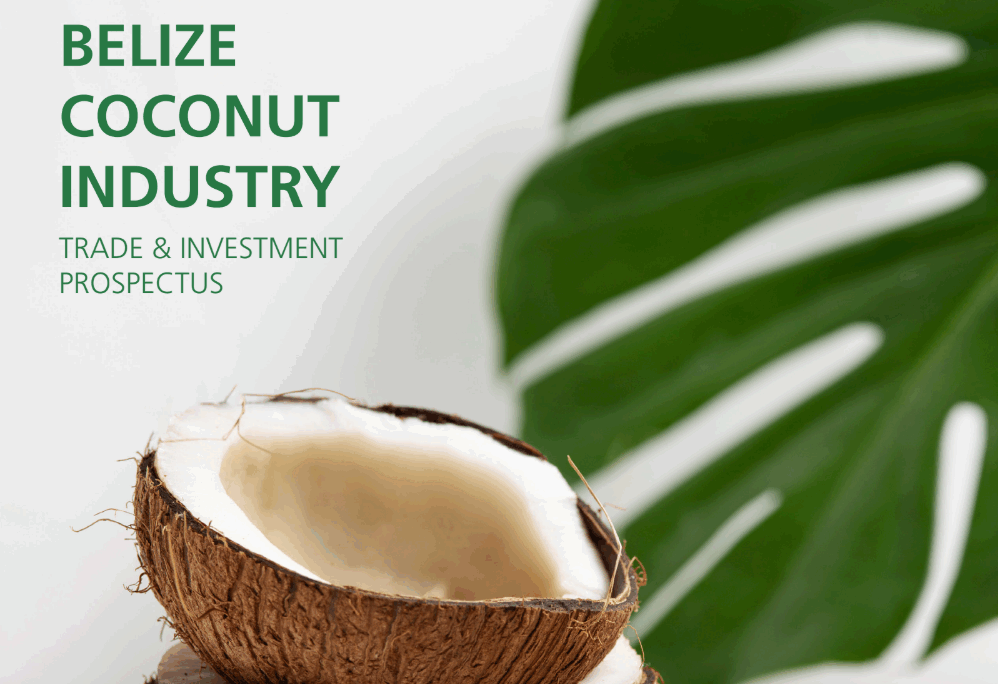 Belize Coconut Industry – Trade & Investment Prospectus