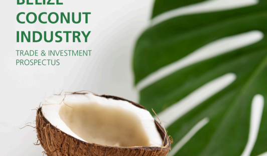 Belize Coconut Industry – Trade & Investment Prospectus
