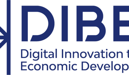 Digital Innovation to Boost Economic Development